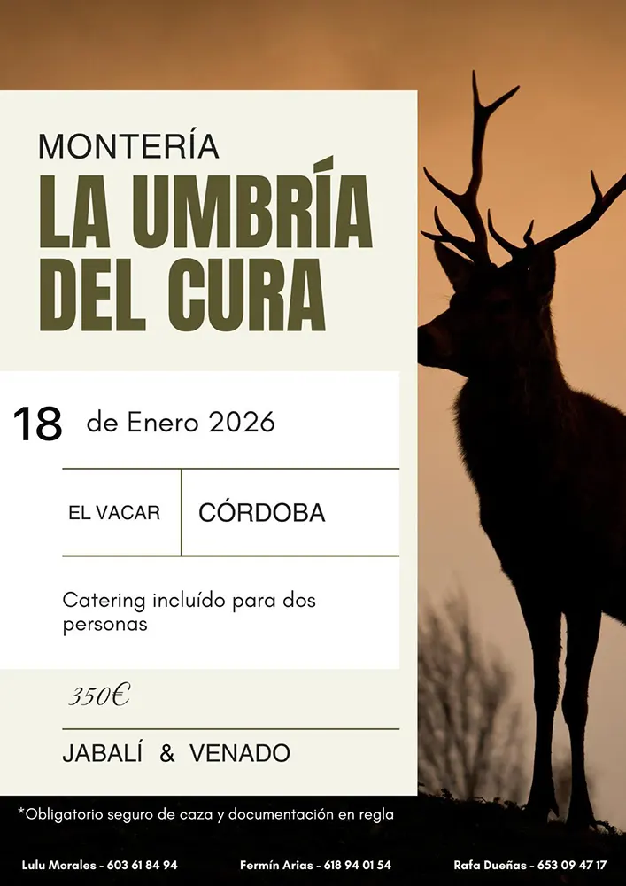 Monteria Umbria Cura 18 enero 2026 Obejo Montería Mancha Umbría del Cura 18 enero 2026